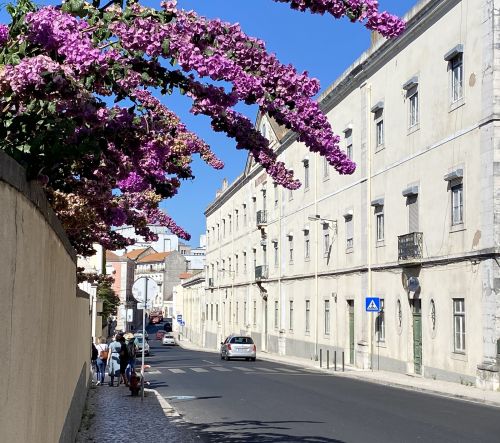 Lisboa das Chaminés II_1Crop.jpg